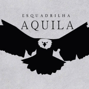 Esquadrilha-aquila-Identidade-Visual-Brand-Logo